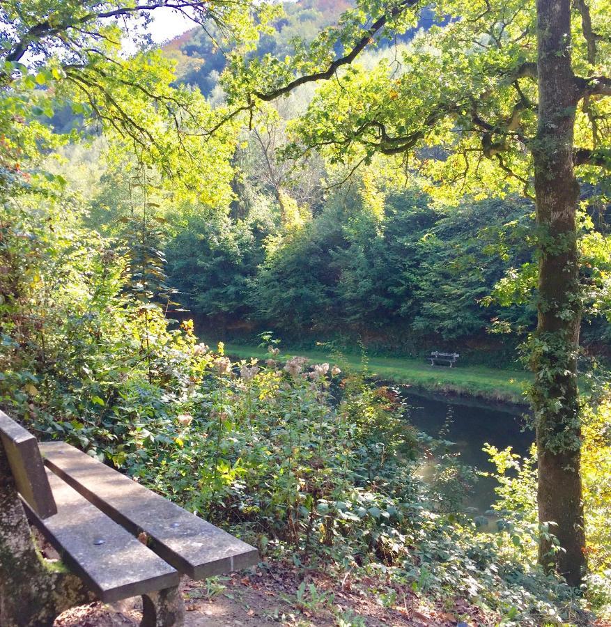 Cocooning Near Dinant 300m From River Meuse